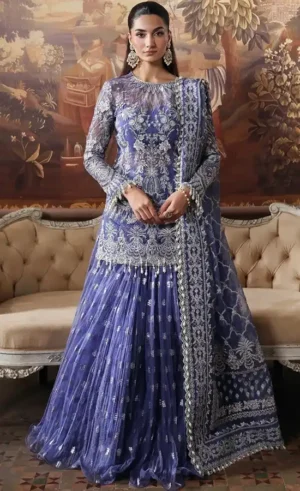 Blue Colour Anarkali Dress For Wedding Guestssss (1)