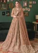 Apricot Colour Bridal Gown