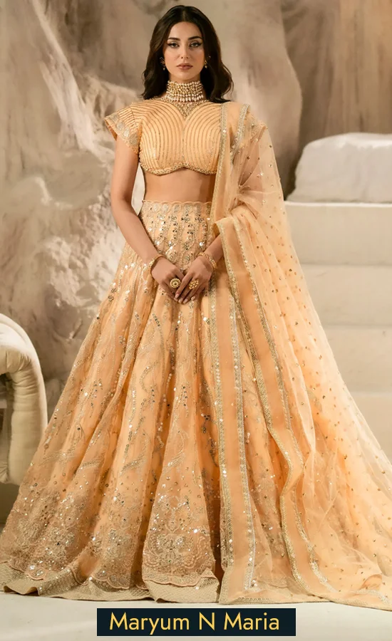 Indo-Western-Ghagra-For-Wedding-Guests-1 Indo-Western-Ghagra-For-Wedding-Guests-1