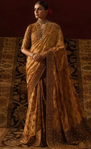 Organza Saree For Wedding Guestsss (2)
